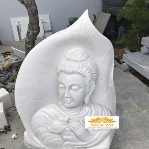 SPCD-038
