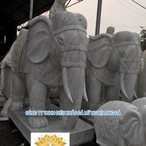 SPVĐ-007