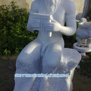 SPCD-024