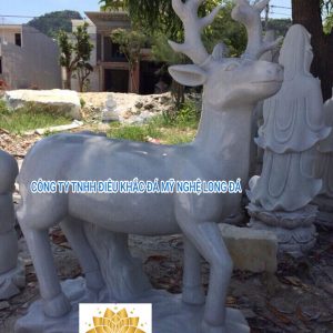 SPCD-045